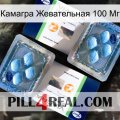 Камагра Жевательная 100 Мг viagra5